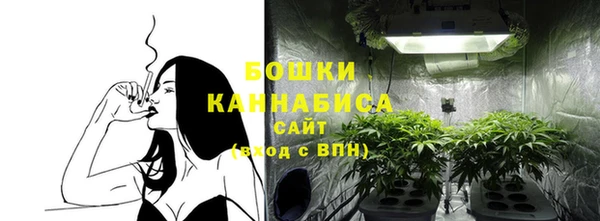 трава Алзамай