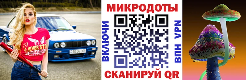 Галлюциногенные грибы Psilocybe  площадка наркотические препараты  Черкесск  купить  сайты 