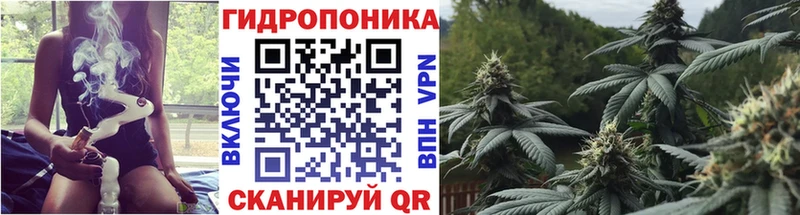 Конопля THC 21%  купить наркоту  Черкесск 